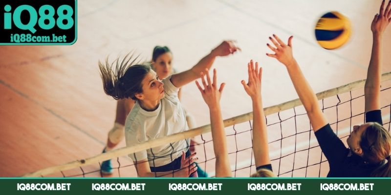 Bỏ túi những kinh nghiệm chơi cá cược bóng chuyền nhanh thắng