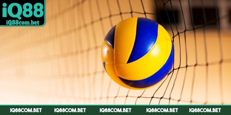 Tham gia cá cược bóng chuyền với nhiều ưu điểm