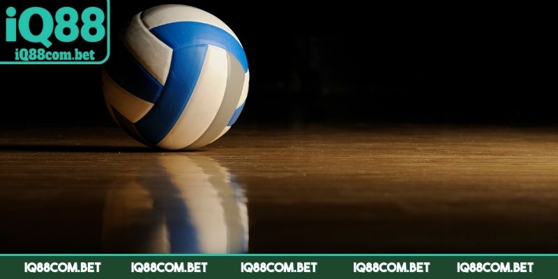 Có nhiều giải đấu để mọi người tham gia cá cược bóng chuyền