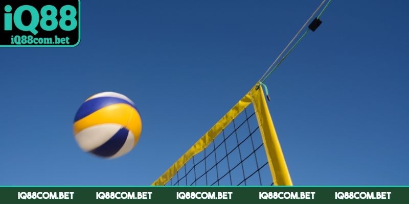 Hình thức cá cược bóng chuyền được nhiều người lựa chọn
