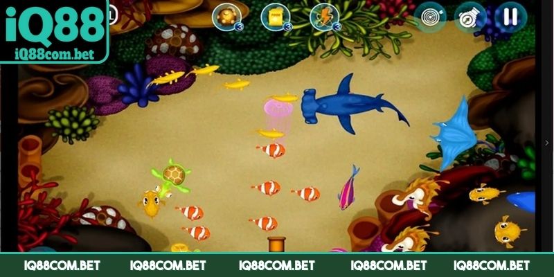 FC bắn cá là game săn thưởng được yêu thích