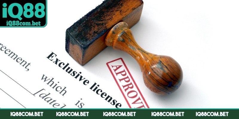 Các loại giấy phép hoạt động đã được nhận