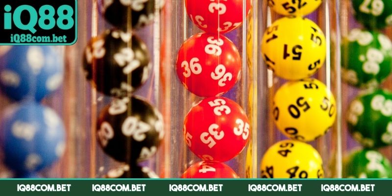 Có nhiều loại hình cho người dùng lựa chọn